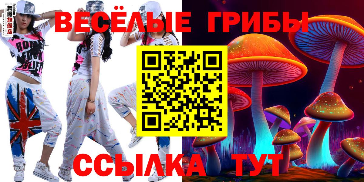 Галлюциногенные грибы Magic Shrooms  Вход с VPN  Тамбов  Галлюциногенные грибы прущие грибы 
