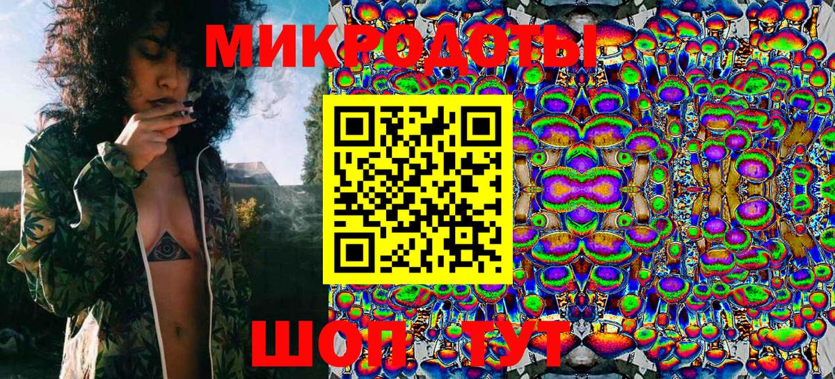 Псилоцибиновые грибы Cubensis Тамбов